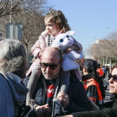 Sant Antoni Abad