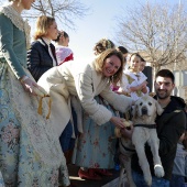 Sant Antoni Abad