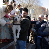 Sant Antoni Abad