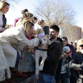 Sant Antoni Abad