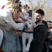 Sant Antoni Abad