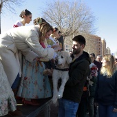 Sant Antoni Abad