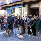 Sant Antoni Abad