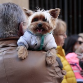 Sant Antoni Abad