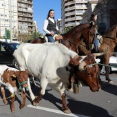 Sant Antoni Abad