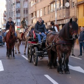 Sant Antoni Abad