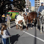 Sant Antoni Abad