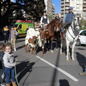 Sant Antoni Abad