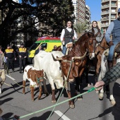 Sant Antoni Abad