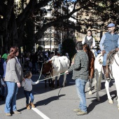 Sant Antoni Abad