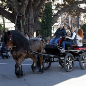 Sant Antoni Abad