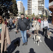 Sant Antoni Abad