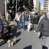 Sant Antoni Abad