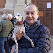 Sant Antoni Abad
