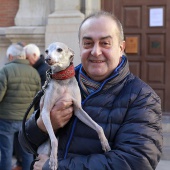 Sant Antoni Abad