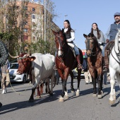 Sant Antoni Abad