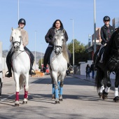 Sant Antoni Abad