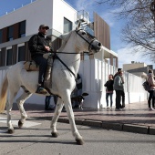 Sant Antoni Abad