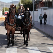 Sant Antoni Abad