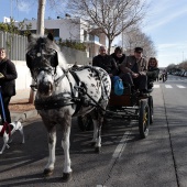 Sant Antoni Abad