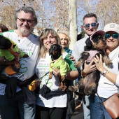 VIII Marcha Contra el Cáncer