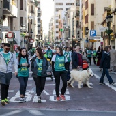 VIII Marcha Contra el Cáncer