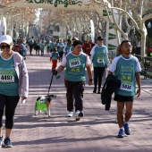 VIII Marcha Contra el Cáncer