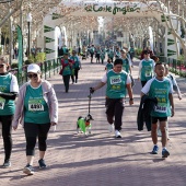 VIII Marcha Contra el Cáncer