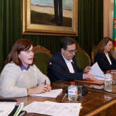 Consejo Municipal de Participación Ciudadana