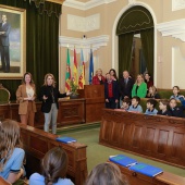 Etapa de colaboración