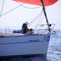 Castellón, Regata Costa Azahar