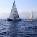 Castellón, Regata Costa Azahar