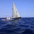 Castellón, Regata Costa Azahar