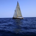 Castellón, Regata Costa Azahar