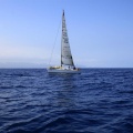 Castellón, Regata Costa Azahar