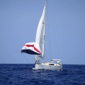 Castellón, Regata Costa Azahar