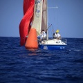 Castellón, Regata Costa Azahar