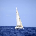 Castellón, Regata Costa Azahar
