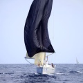 Castellón, Regata Costa Azahar