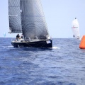 Castellón, Regata Costa Azahar