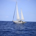 Castellón, Regata Costa Azahar