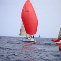Castellón, Regata Costa Azahar