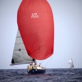 Castellón, Regata Costa Azahar