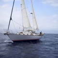 Castellón, Regata Costa Azahar