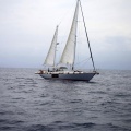 Castellón, Regata Costa Azahar