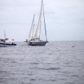 Castellón, Regata Costa Azahar