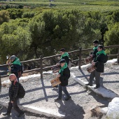 Romeria de Les Canyes