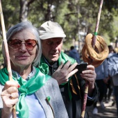 Romeria de Les Canyes