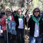 Romeria de Les Canyes