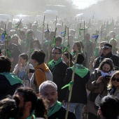 Romeria de Les Canyes